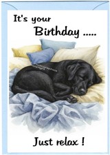 Labrador retriever black dog - labrador,