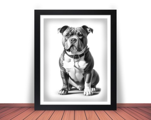 Framed american bully dog - framed,