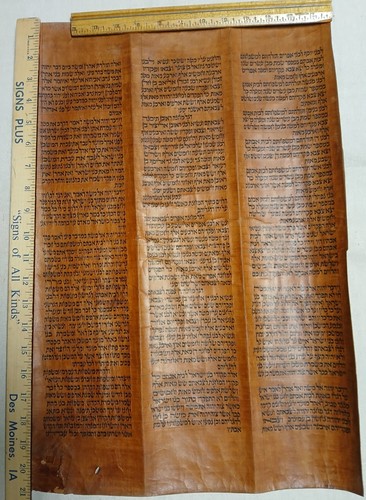 Torah scroll fragment - torah,