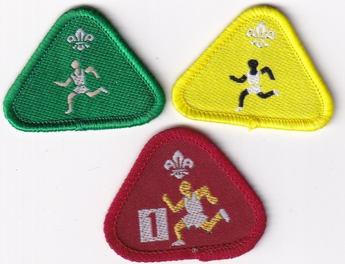 Boy scout badges cub - scout,