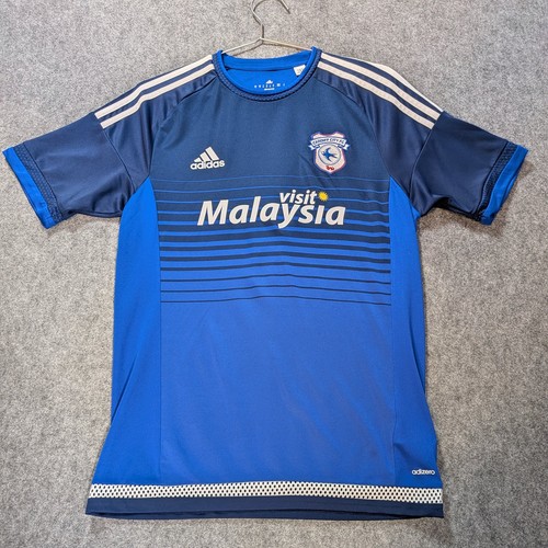 Cardiff city 2016 2017 - cardiff,