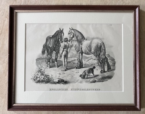 English coal horse german - ,