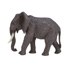 Mojo african elephant wild - elephant,