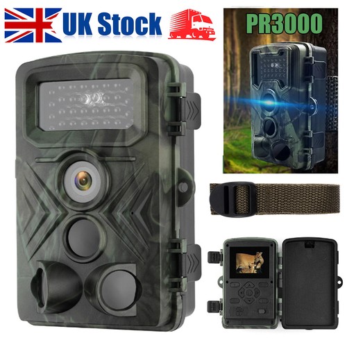 Wildlife trail camera - wildlife,