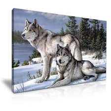 Two wolves wild wolf snow - wild,