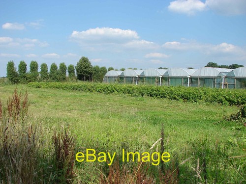 Photo 6x4 nursery - photo,
