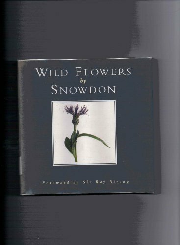 Wild flowers earl antony - flowers,