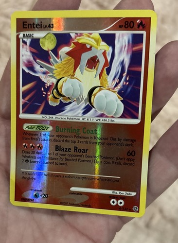 Entei 132 secret - entei,