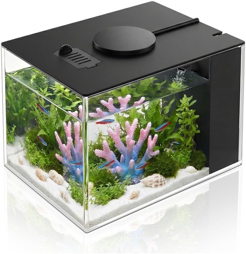 Aquarium fish tank with - aquarium,