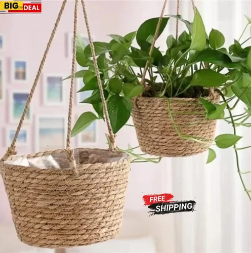 Hanging plant basket - plant, rope