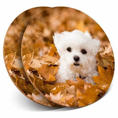 Coasters cute west - 2,