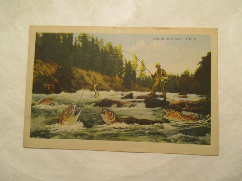 Fishing postcard lots sport - fishing, of