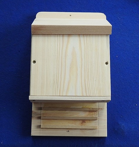 Bat box for - to, and