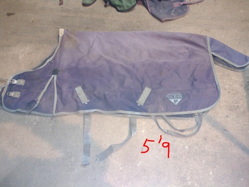 Saxon lightweight rug no - rug,