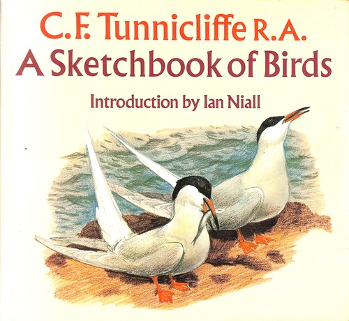 Sketchbook birds c f - sketchbook, c.f