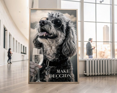 Trendy chocolate poodle - chocolate,