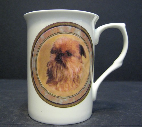 Griffon bruxellois dog head - bruxellois, (head