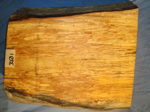Spalted beech turning - beech, block
