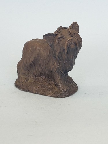 Miniature yorkie yorkshire - miniature,