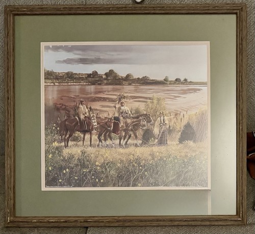 Merlin littlethunder framed - littlethunder,