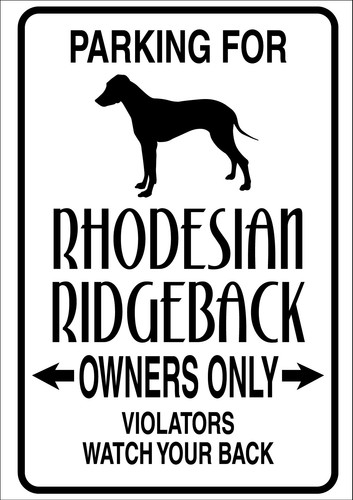 Rhodesian ridgeback owners - rhodesian,