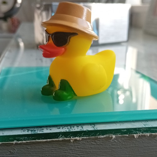 Yellow rubber duck - yellow, toy