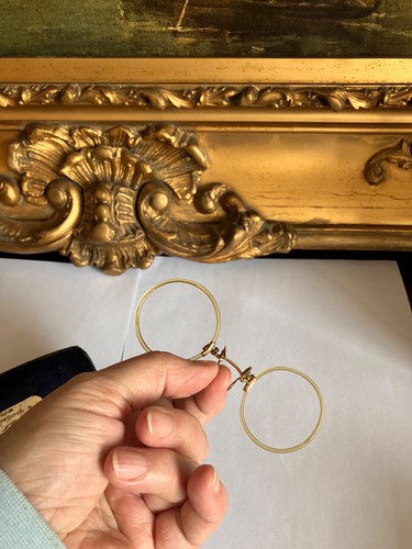 Horn and gold filled pince - horn,