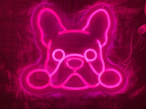 New neon effect led - led, boston