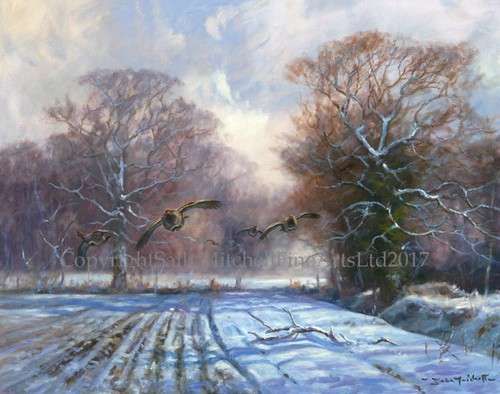 Partridges the snow - in,