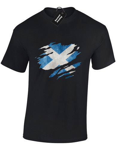Scotland flag slash mens - scotland,