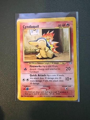 1999 2000 pokemon team - pokemon,