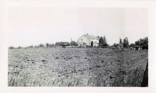 Vtg photo beautiful - vtg,