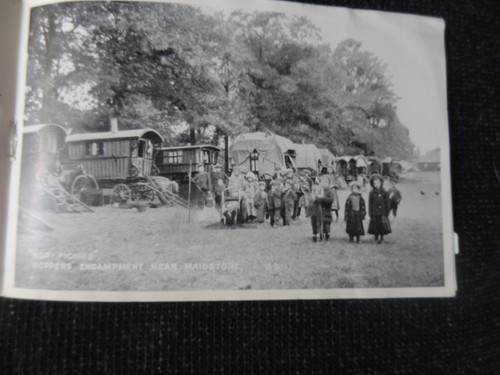 Hop picking near maidstone - hop,