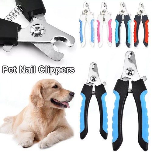 Animal pet dog - pet, cat