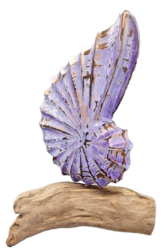 Shell carving driftwood - carving,