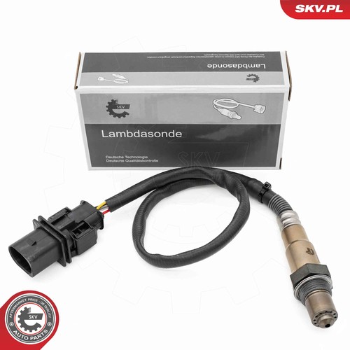 Oxygen sensor esen - sensor, skv