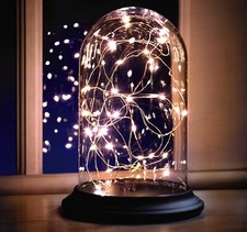 Glass Bell Jar Dome Cloche