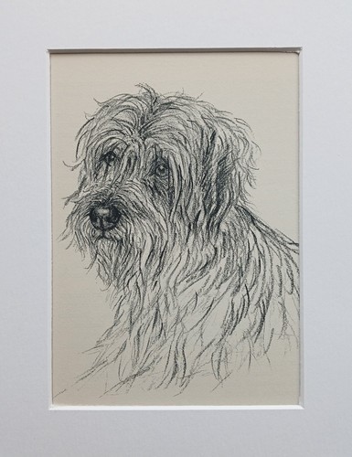 Schnauzer dog vintage sketch
