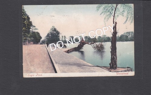 Eagle pond wanstead - eagle,