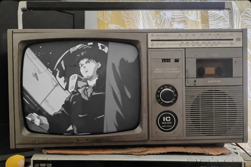 Sharp 12p 29h crt - b&w,