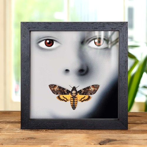 Silence the lambs - silence, of