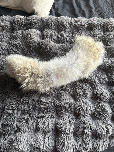 Canada goose fur trim - goose,