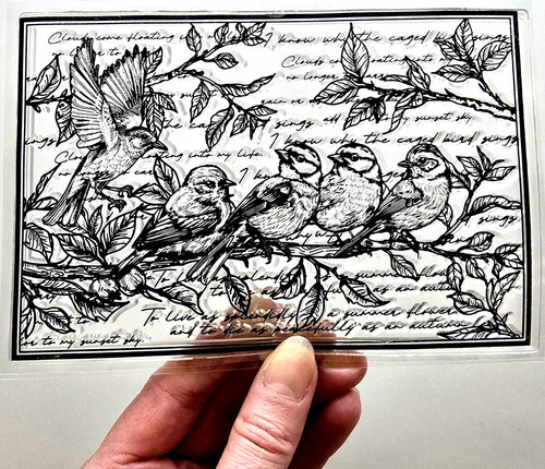 Clear stamps vintage bird - clear,