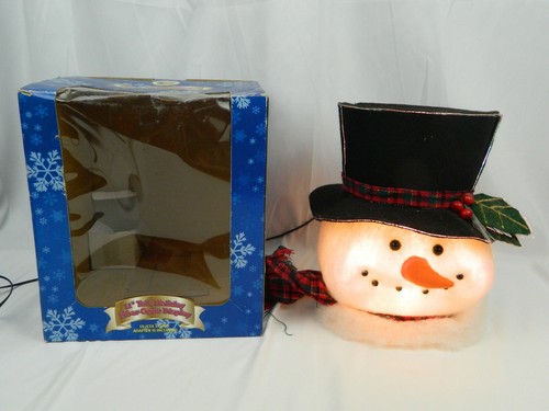Fiber optic light - fiber-optic, snowman