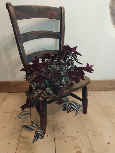 Antique elm children chair - antique, children's