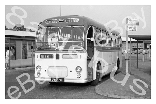 Bus photograph red white - bus,