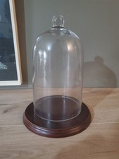 Vintage Glass Display Dome with Wooden Base – Cloche for Curiosities, Taxidermy,