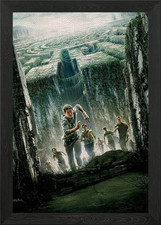 The Maze Runner Framed Wall