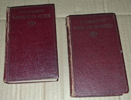 Pair antique hardback - pair,