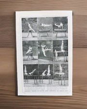 Original Antique Mens Gymnastics Exercises On Vaulting Horse Parallel Bars Print